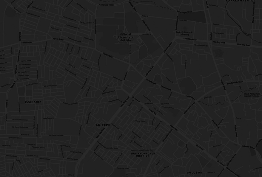 расположение berezia.uz на карте